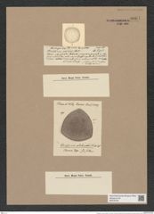 Stictodiscus varians Castrac. (de-Toni-Nr.: Genus 205, Species 5261) Zeichnungen Sammlung Grunow Nr. 9061 (NHMW-BOT-W0378792)